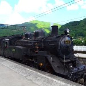 Profile photo of Shin-Kato