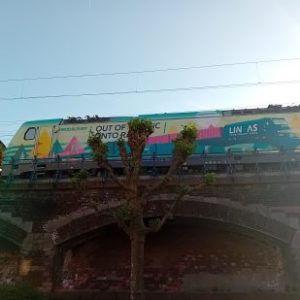 Profile photo of trainspleasse
